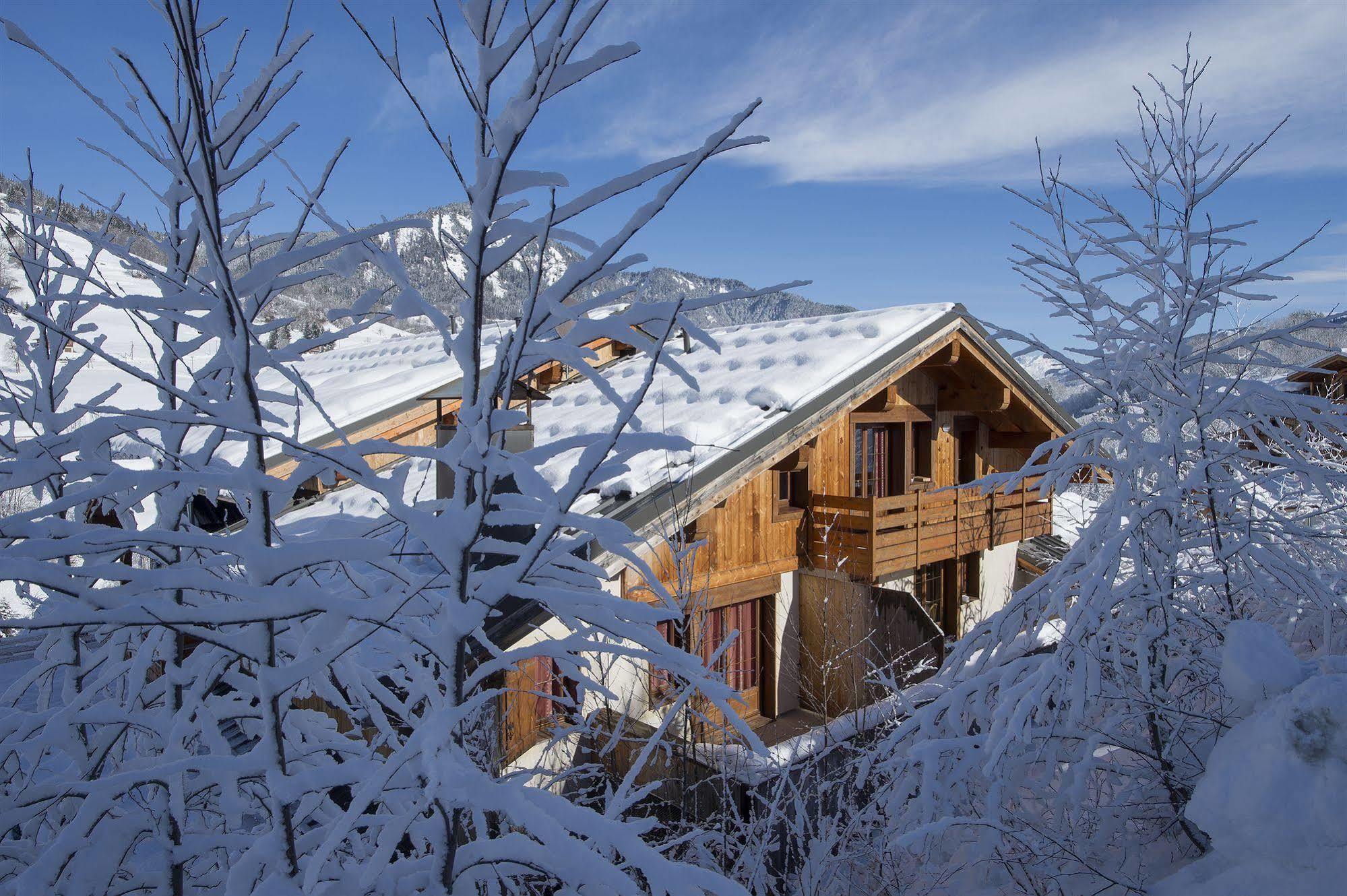 Residence Nemea Les Chalets Des Evettes Флюме Екстериор снимка